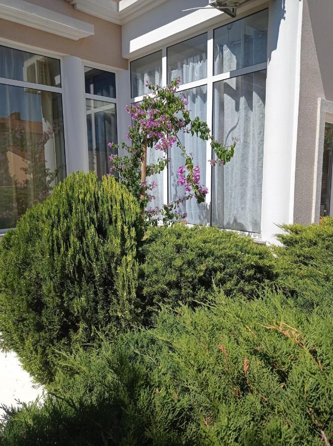 Villa Gregovica &T 2 Pula Exterior photo